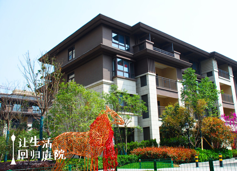 前后张望南阳50年：这样的庭院，，，，，，很难再有了！