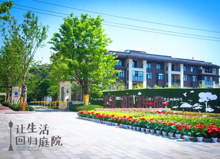 前后张望南阳50年：这样的庭院，，，，，，很难再有了！