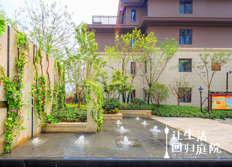前后张望南阳50年：这样的庭院，，，，，，很难再有了！