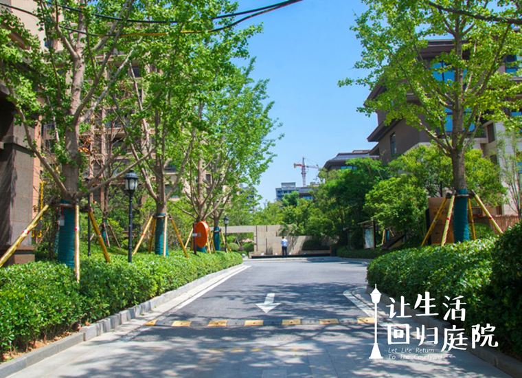 前后张望南阳50年：这样的庭院，，，，，，很难再有了！
