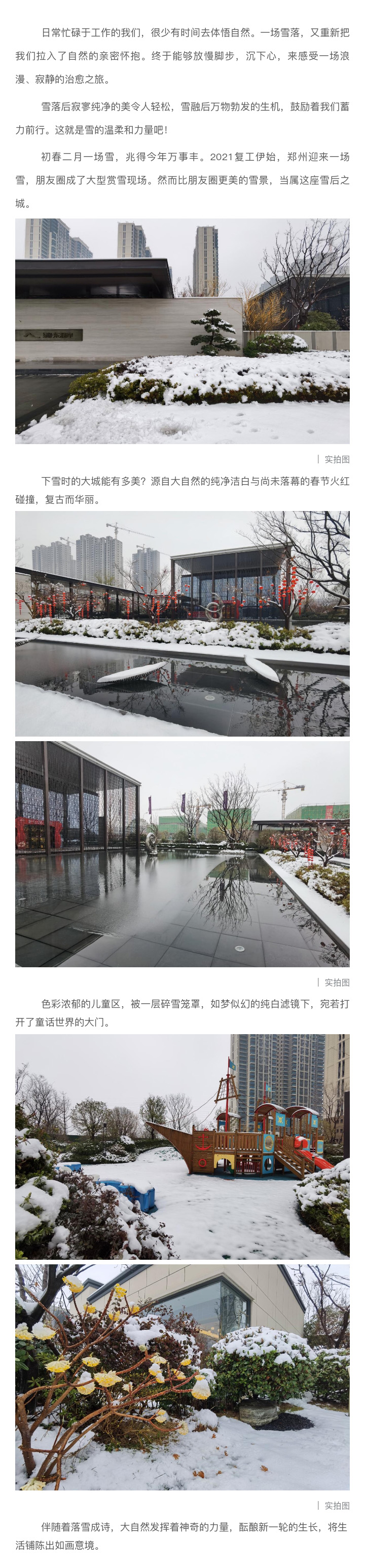 2021浪漫开年，，，，，共赏一场鹅毛大雪！
