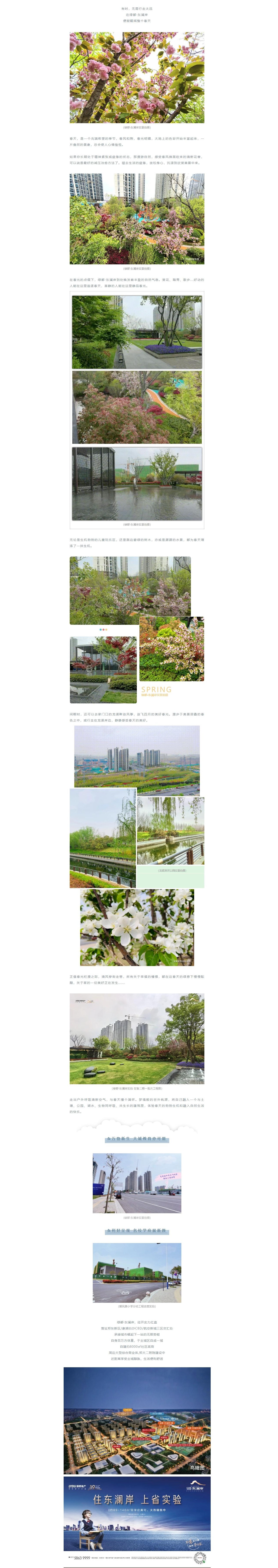 赏花踏青，，，，，来一场和春天的约会